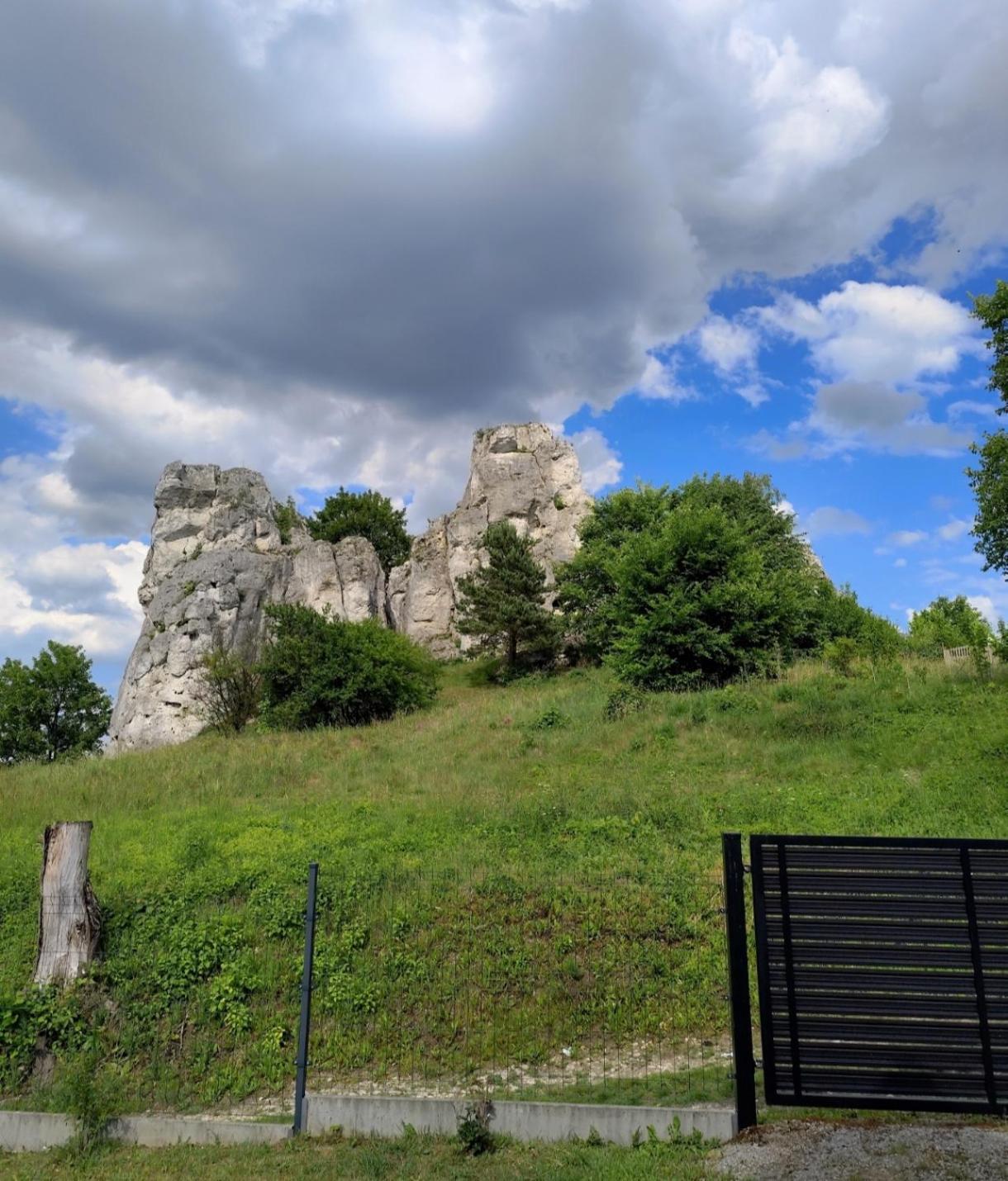 Bajkowa Dolina Villa Niegowa Exterior foto